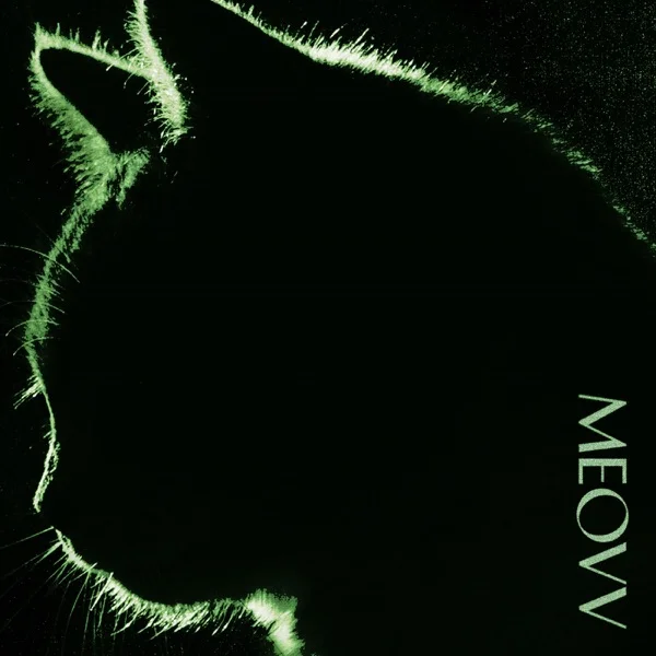 Трек MEOVV - TOXIC (2024)